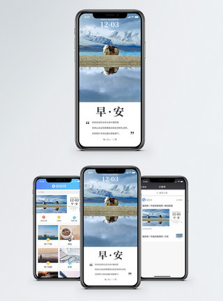 青藏高原牦牛早安手机海报配图模板