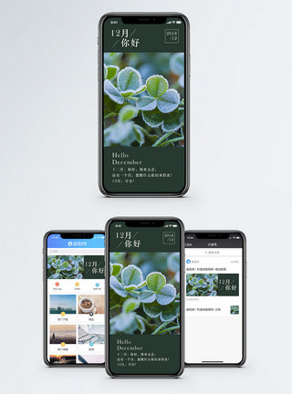绿色三叶草12月你好手机海报配图模板