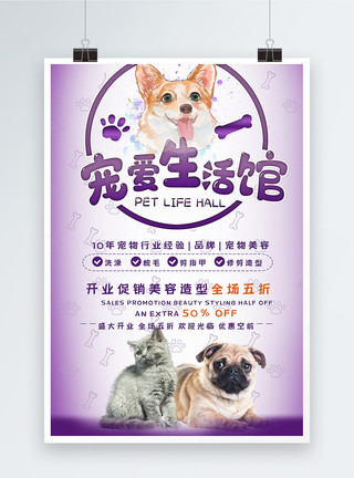 宠物生活馆促销海报模板