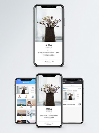 花瓶干花每日一签手机海报配图模板