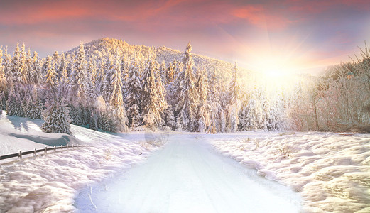 冬季道路冬季雪景设计图片