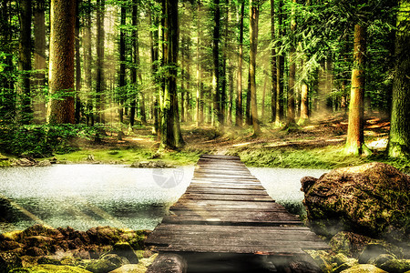 桥入森林奇幻唯美森林设计图片