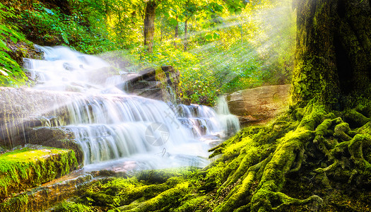 天然瀑布景色梦幻森林设计图片