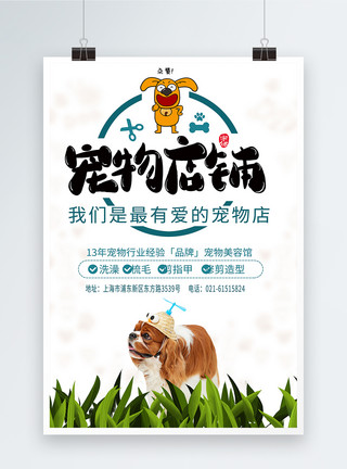 毛公山宠物美容馆宣传海报模板
