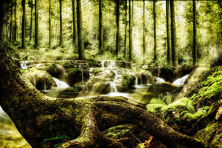 流水瀑布奇幻唯美森林设计图片