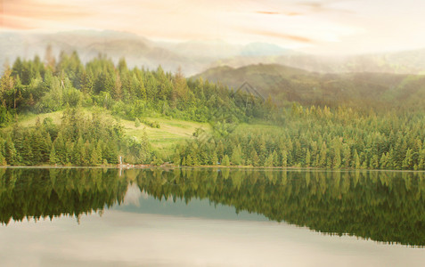 风景湖边梦幻森林设计图片