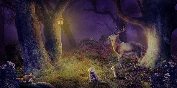 森林猫梦幻森林设计图片