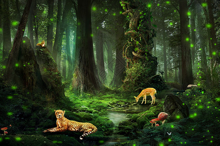 饥饿的小猫梦幻森林合成设计图片