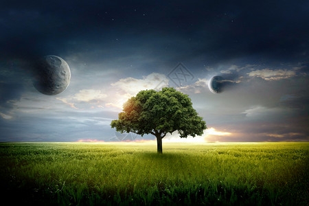 绿色星球光效大树与星空设计图片