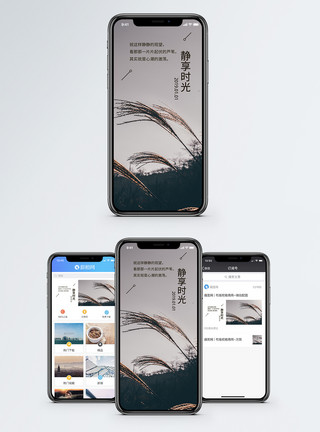 芦苇风景静享时光手机海报配图模板