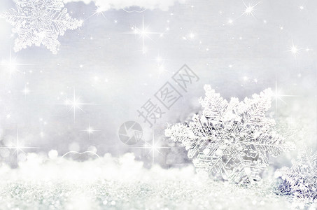 冬天的树壁纸雪花设计图片