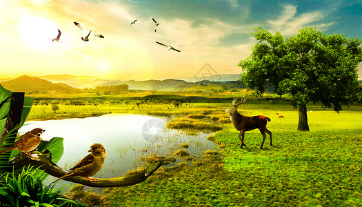 动物保护协会梦幻森林设计图片