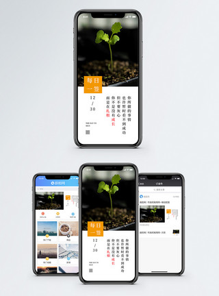 种子发芽过程成长手机海报配图模板