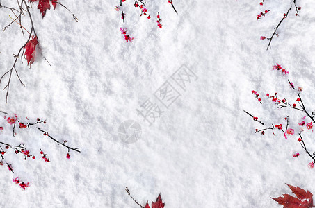 樱花雪雪景设计图片