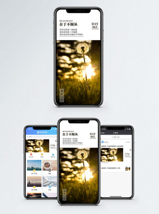 蒲公英阳光生命的力量手机海报配图模板