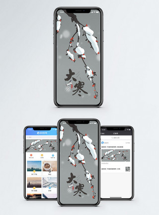 堆雪枝头大寒手机海报配图模板
