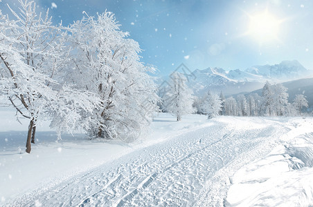 冬季步道冬天雪景设计图片