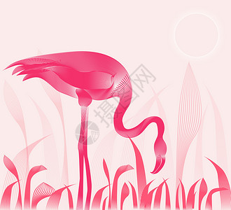芦苇纹摩尔纹动物粉色火烈鸟插画