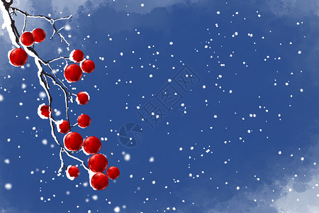 水果树枝冬季雪景设计图片