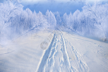 雾雪足迹冬天雪路设计图片