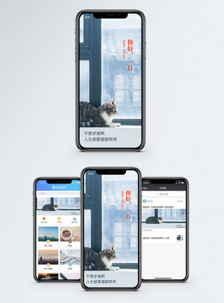 猫咪图片免费下载你好一月手机海报配图模板