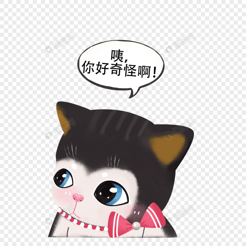 好奇的小猫图片