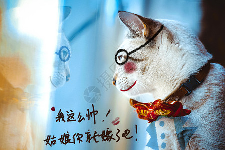 有趣猫戴眼镜帅猫猫咪示爱情人节插画