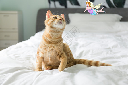 床单上小猫调皮的小猫插画