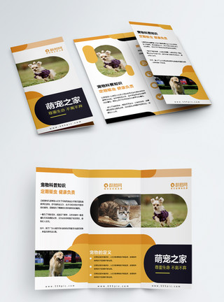 宠物店介绍简约几何宠物医院宠物商店宣传介绍三折页模板
