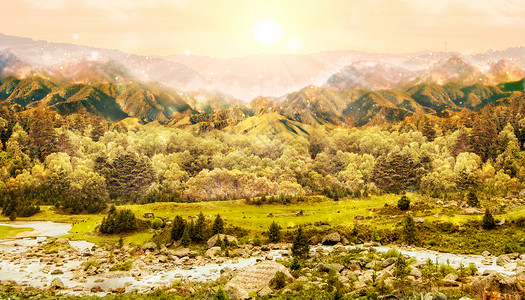 山区风景森林设计图片