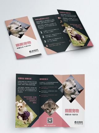 粉色猫简约几何宠物商店用品店猫狗宣传三折页模板
