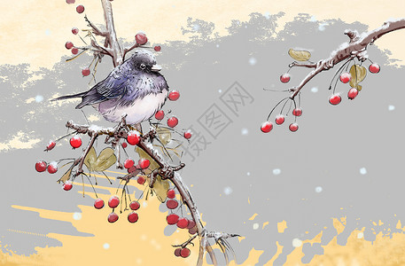 冬天的雪和鸟图片