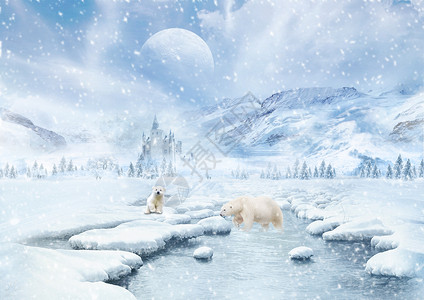 北極熊雪景设计图片