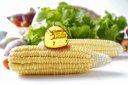 小幺鸡创意小鸡吃玉米插画