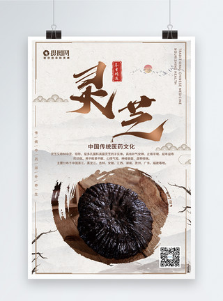 灵芝养生素材中国风灵芝养生海报模板