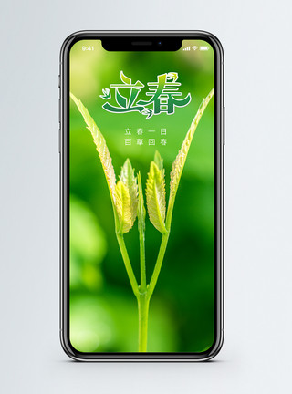 生机植物立春手机海报配图模板