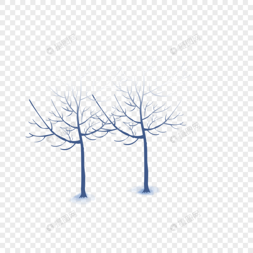冬季的树木图片