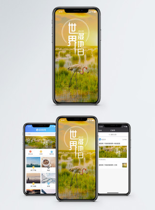 扎龙湿地世界湿地日手机海报配图模板