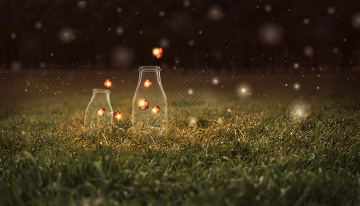木塞玻璃瓶星夜萤火设计图片