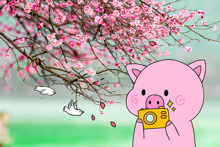 梅花景色创意拍照小猪插画