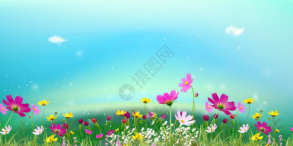 花卉草丛春天的花丛设计图片