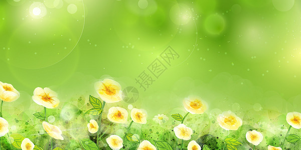 小花小草可爱春天的花丛设计图片