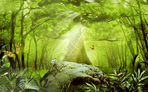 梦幻的鸟图片梦幻森林场景设计图片