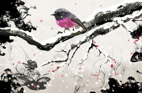 中国风冬天花鸟背景图片