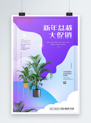 盆栽三角梅春节盆栽大促销海报模板