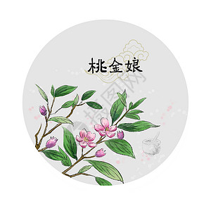 中草药插画背景图片