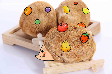 刺猬面包创意猴头菇插画