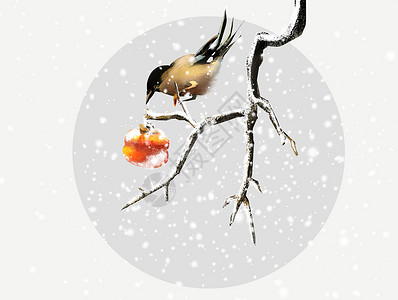 雪树枝装饰古风冬天花鸟插画