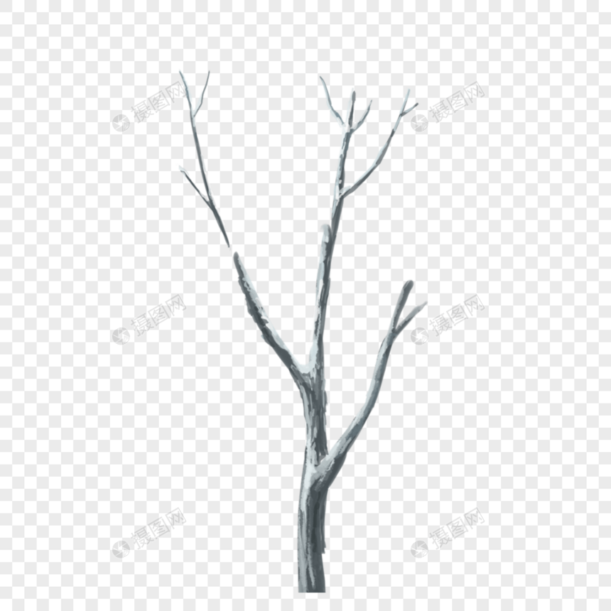 冬季的树干图片