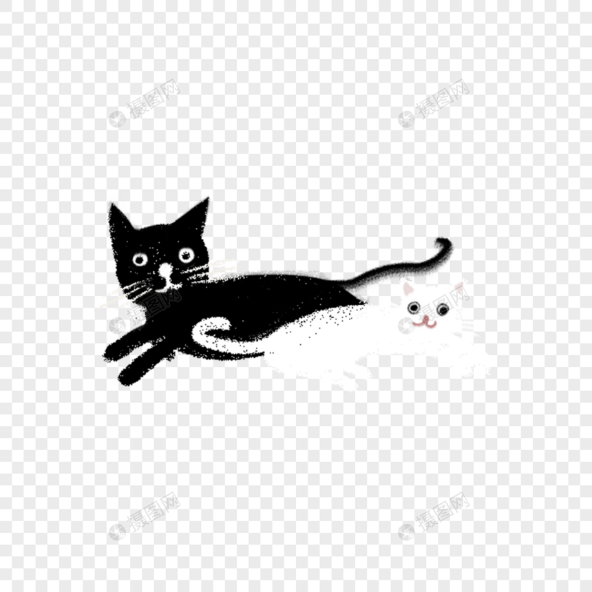 黑猫和白猫图片